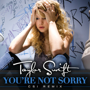 You're Not Sorry (CSI Remix) artwork