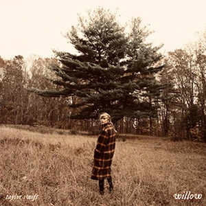 willow - Taylor Swift